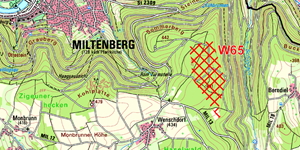 Windvorranggebiet W65 Sehboldsruhe_Lageplan RPV.png