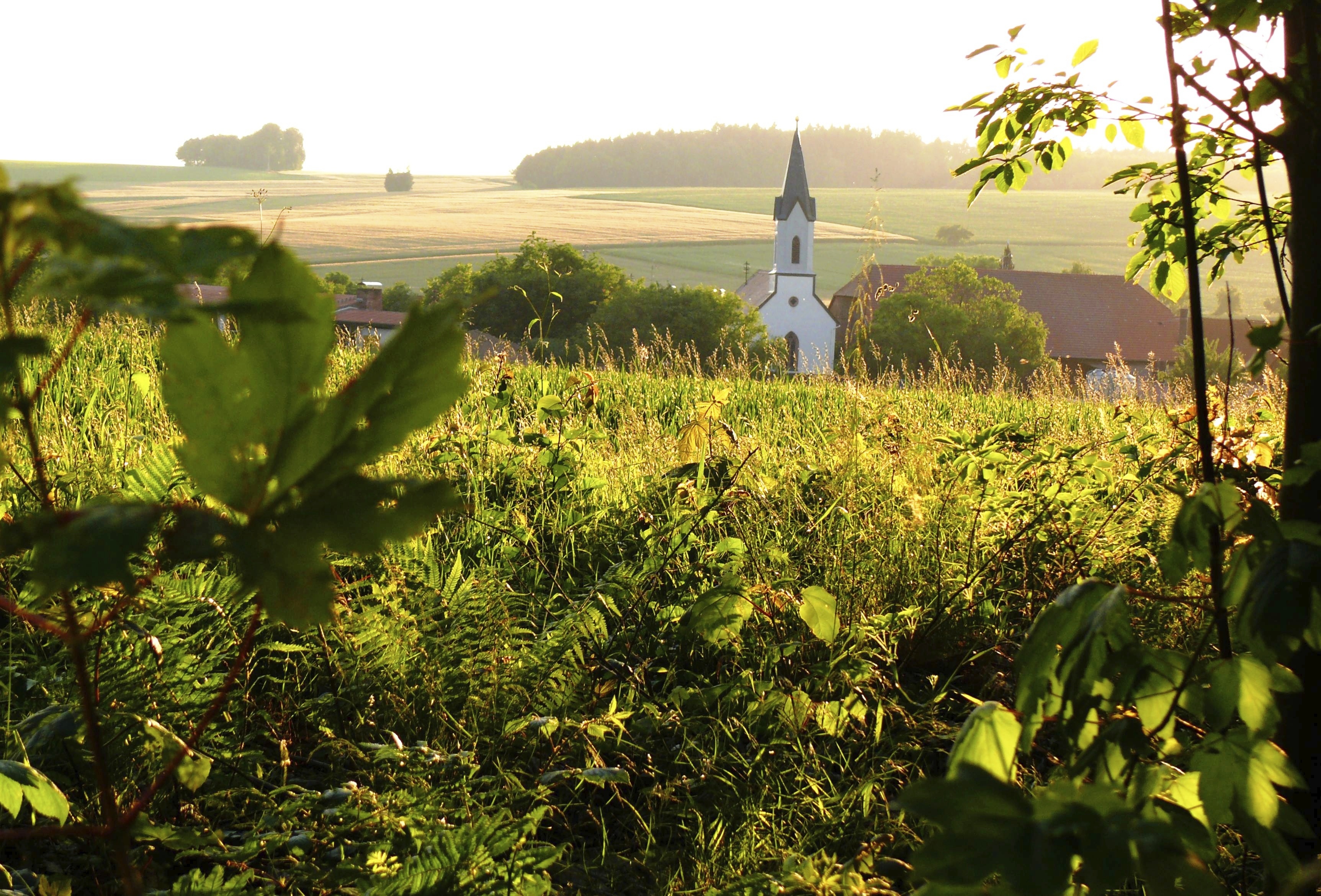 Wenschdorf und Monbrunn