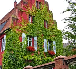 Alte Domkellerei