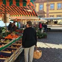 IMG_6697.jpg