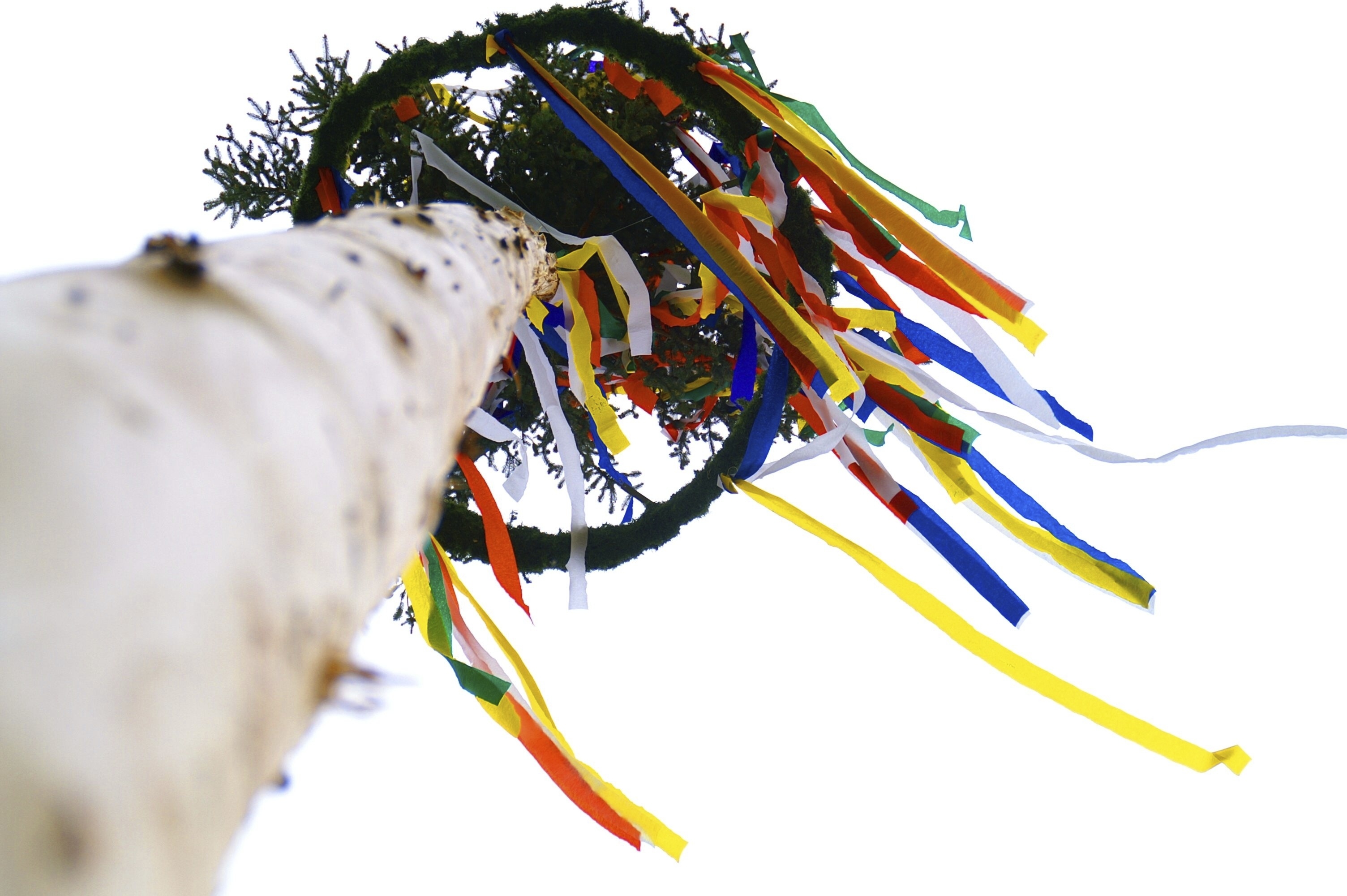 Maibaum © Roland Schönmüller.jpg