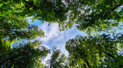 Klimaschutzmaßnahmen