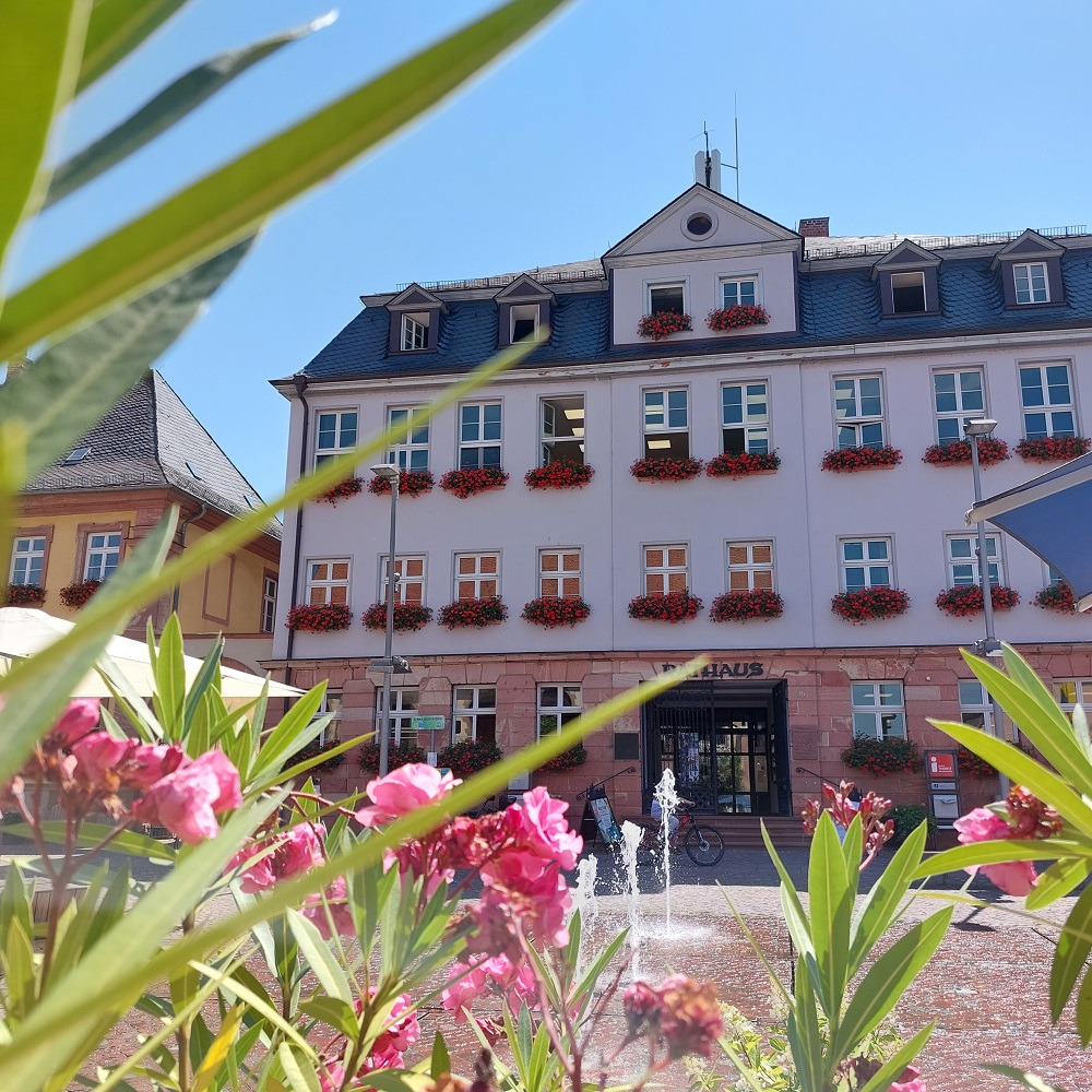 Rathaus im Sommer @Evelyn Bosche.jpg