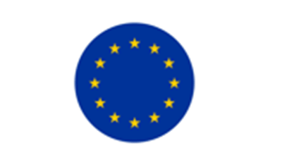 Europawahl 2024