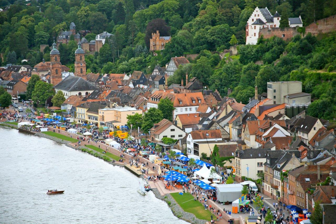 2023-07-00 Bild - Mainfest von oben.jpg
