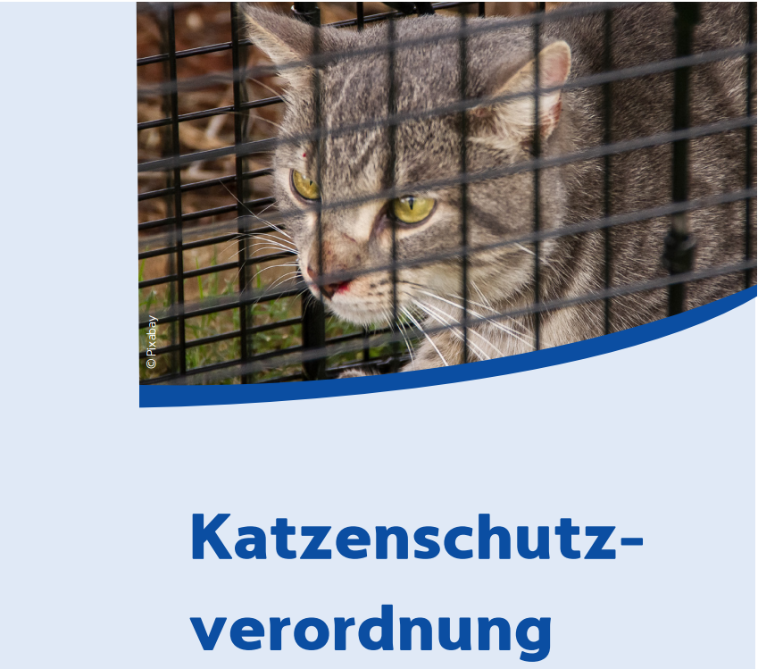 Katzenschutzordnung1.PNG